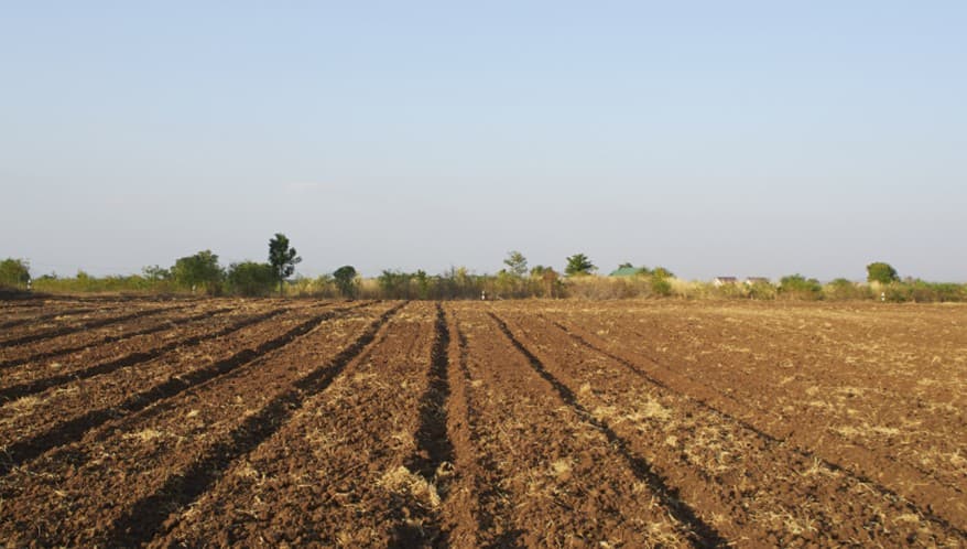 imoveis rurais empresas estrangeiras